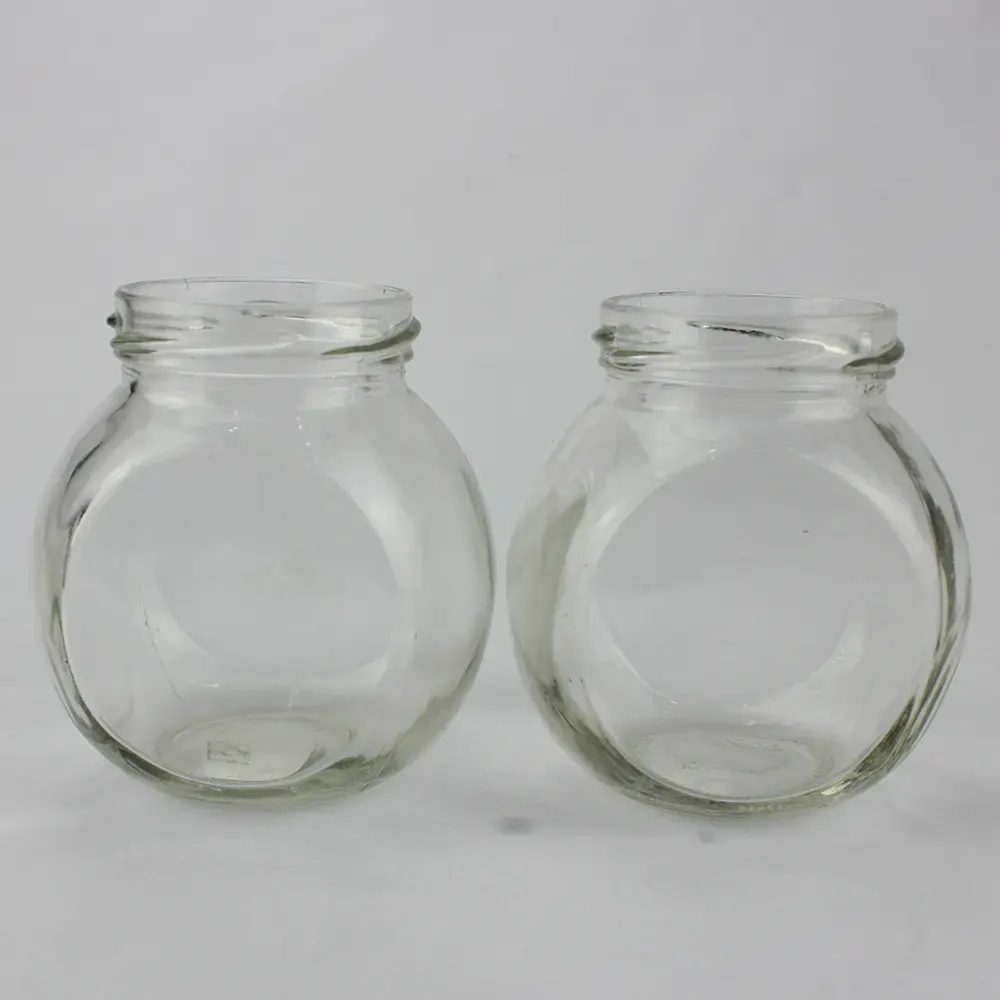 Bepflanztes Glasgefäß mit sichtbarem Wurzelbereich und ruhiger Form