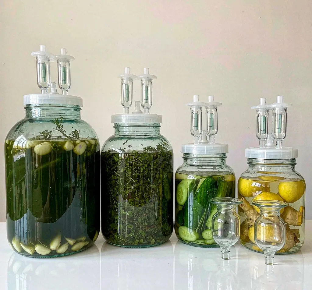 Large wide-mouth glass fermentation jars with airlock lids and glass weights